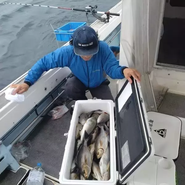 「【釣果速報】良型イサキがクーラーにぎっしり！福岡県明石丸で質も量も大満足の釣行を楽しもう！」の画像