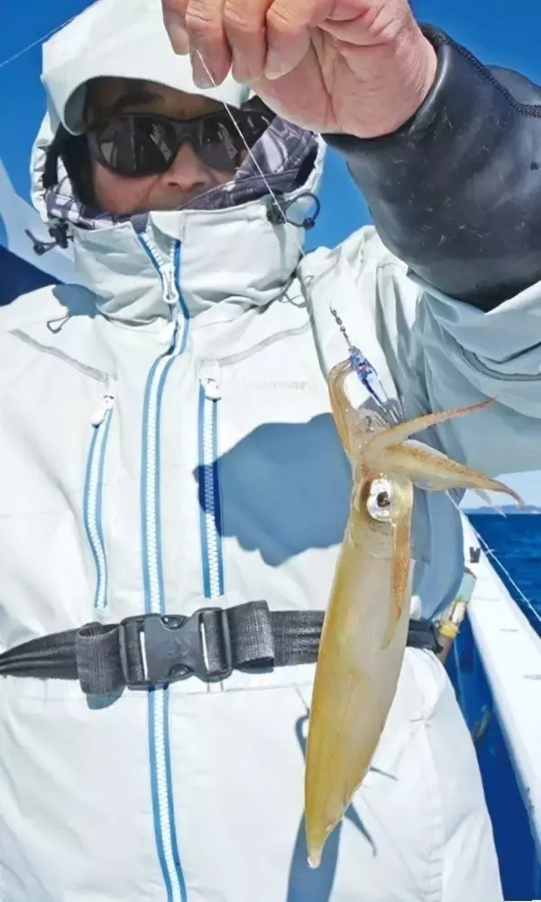 「今年はちょっとテクニカル！？深場マルイカ城ヶ島沖でスタート」の画像