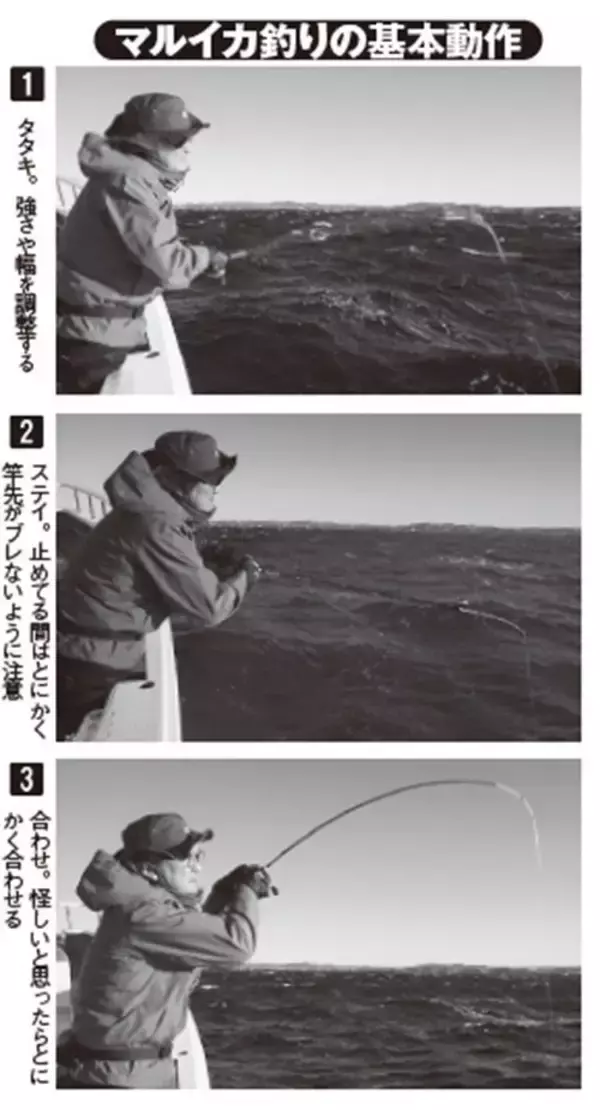 「今年はちょっとテクニカル！？深場マルイカ城ヶ島沖でスタート」の画像