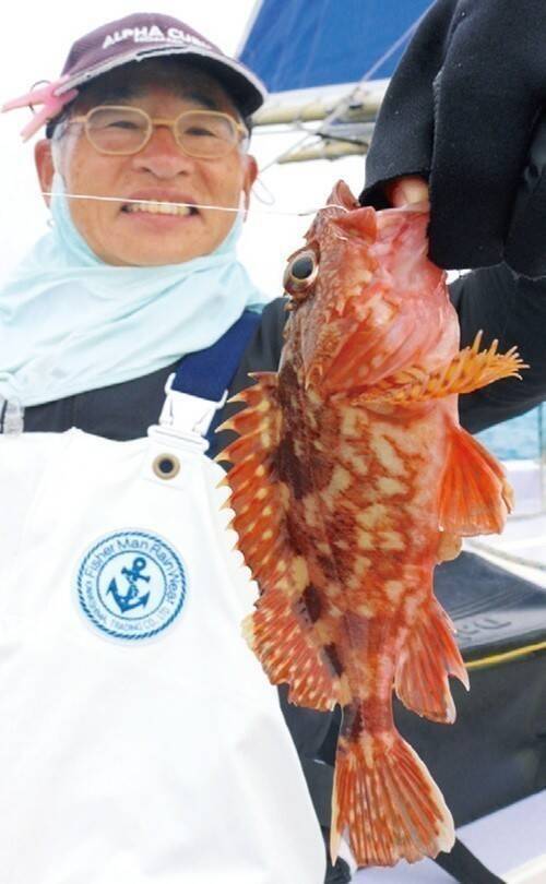 久比里発の良型カサゴ　夏に向かって昇り調子
