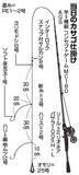 「久比里発の良型カサゴ　夏に向かって昇り調子」の画像7