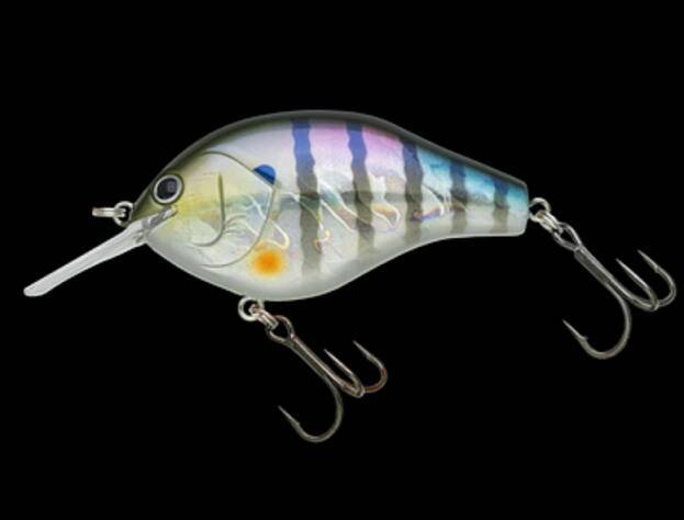 マルノミフラット60は2024年新登場のシェイキーで誘えるフラットサイドクランクベイト！