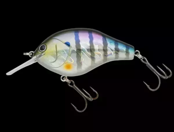 「マルノミフラット60は2024年新登場のシェイキーで誘えるフラットサイドクランクベイト！」の画像