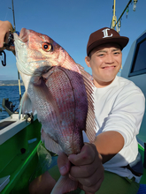 【釣果速報】茨城県弘漁丸で3.00kgの特大マダイ出た！大満足の釣果に船内大賑わい！