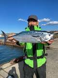 「【釣果速報】千葉県安田丸でスマガツオ好調！美味しい2kgサイズで思わずにんまり！今後はシマアジなども爆釣の予感！」の画像1