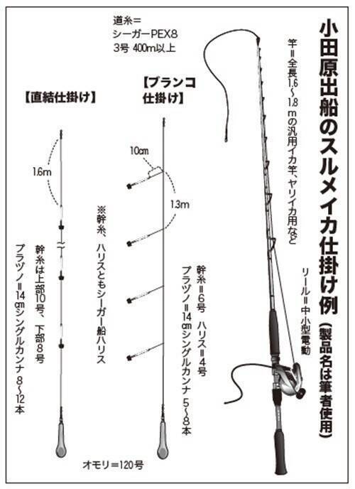 期待以上の絶好の展開だ！ スルメのズシッを味わおう