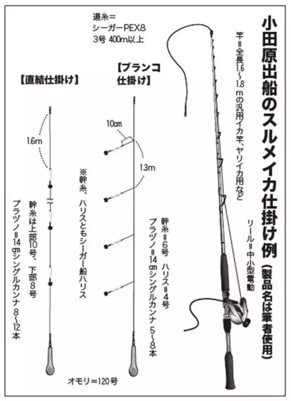 「期待以上の絶好の展開だ！ スルメのズシッを味わおう」の画像
