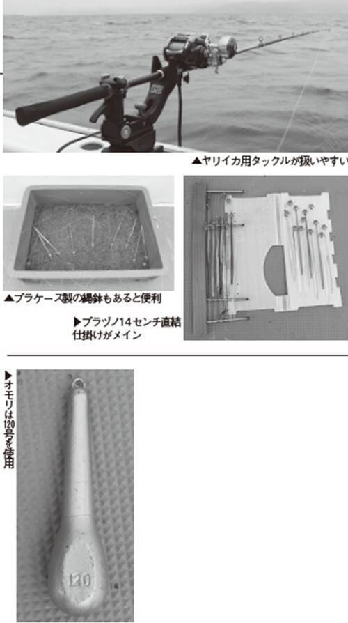 期待以上の絶好の展開だ！ スルメのズシッを味わおう