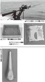 「期待以上の絶好の展開だ！ スルメのズシッを味わおう」の画像5