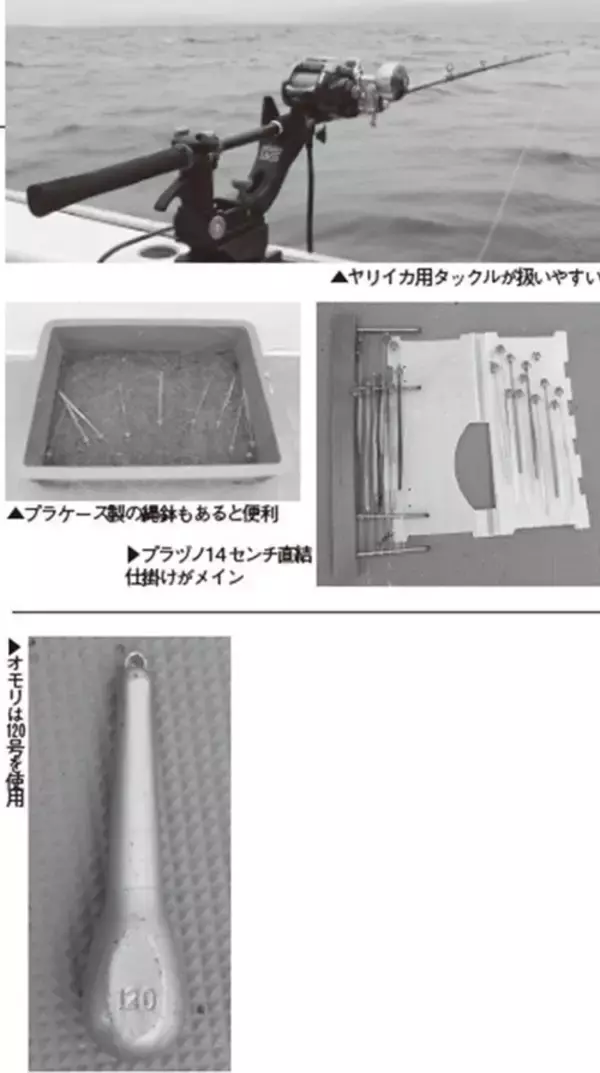 「期待以上の絶好の展開だ！ スルメのズシッを味わおう」の画像