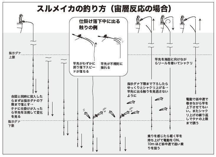 期待以上の絶好の展開だ！ スルメのズシッを味わおう
