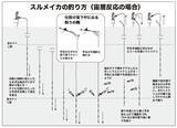 「期待以上の絶好の展開だ！ スルメのズシッを味わおう」の画像6
