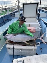 【釣果速報】神奈川県愛正丸はカツオ・キハダマグロが連日大漁！今回は48.00kgの大物キャッチ！この勢いに今すぐ乗ろう！