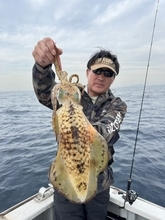 【2026年2月最新】館山・洲崎「赤沼丸」で冬イカ＆五目釣り！釣果好調ポイント徹底ガイド