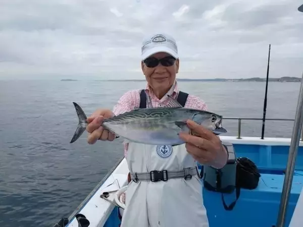 「【釣果速報】神奈川県海楽園でショゴ最大40cmヒット！イサキも良型を続々キャッチ！今すぐ乗船してこの波に乗ろう！」の画像