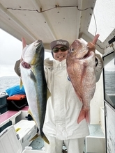 【釣果速報】4.20kgのワラサGET！神奈川県正海丸で人気青物の強烈な引きを感じよう！