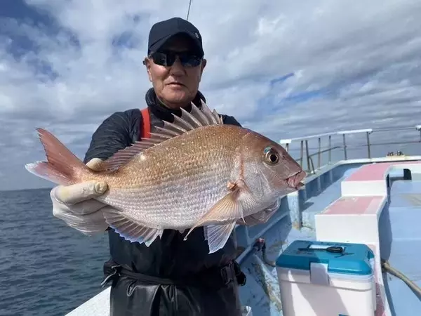 「【釣果速報】千葉県梅花丸でマダイ・ハナダイ・カサゴなどキャッチ！大型ハナダイの活性はよくコンスタントに釣れてる模様です！」の画像