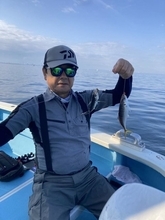 【釣果速報】良型アジがクーラーにぎっしり！東京都の船宿まる八で質も量も大満足の釣行を楽しもう！