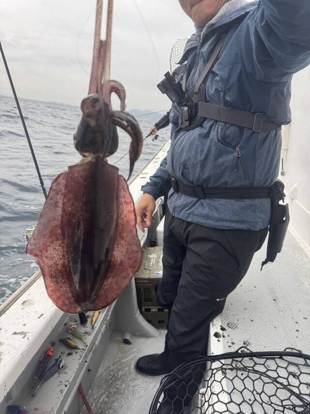 【釣果速報】千葉県赤沼丸でTOP11匹のアオリイカをキャッチ！絶品アオリイカを自分の手で釣り上げてみませんか？