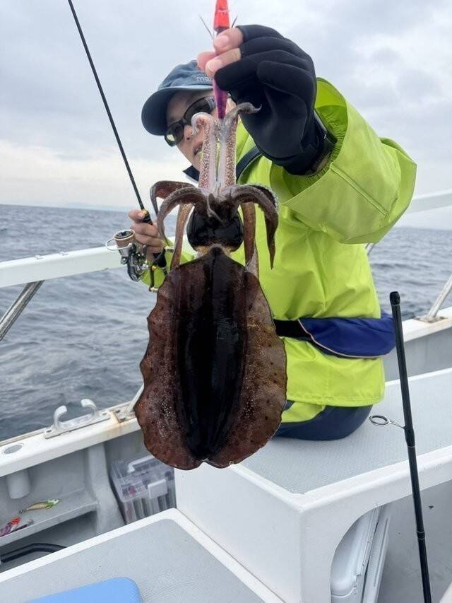 【釣果速報】千葉県赤沼丸でTOP11匹のアオリイカをキャッチ！絶品アオリイカを自分の手で釣り上げてみませんか？