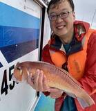 「【釣果速報】神奈川県八隆丸でアジの食い良好！トップは21匹！青物の引きを存分に楽しみたいなら即予約を！」の画像3