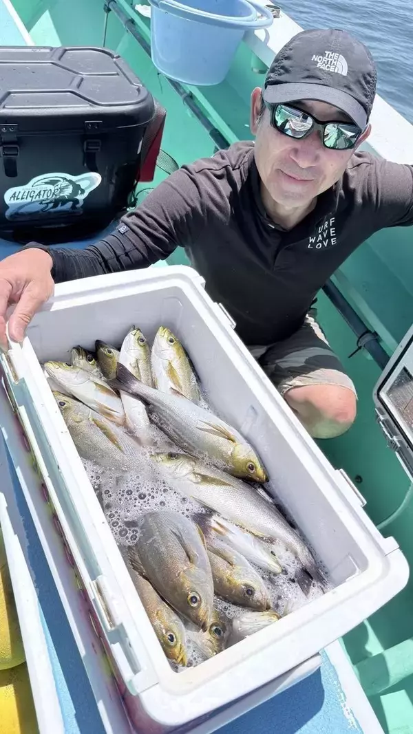 「【釣果速報】神奈川県瀬戸丸でイサキ一日好調！50匹前後の好釣果を出す釣り客多数！あなたも記録更新を狙ってみませんか？」の画像