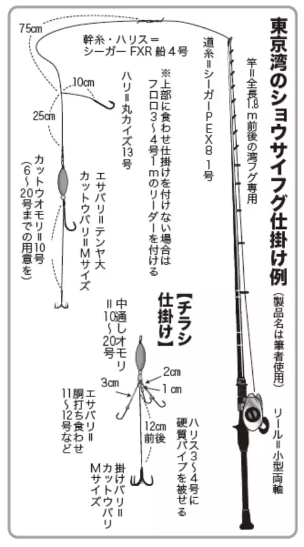 「東京湾にショウサイあり初夏の湾フグ好期突入！」の画像