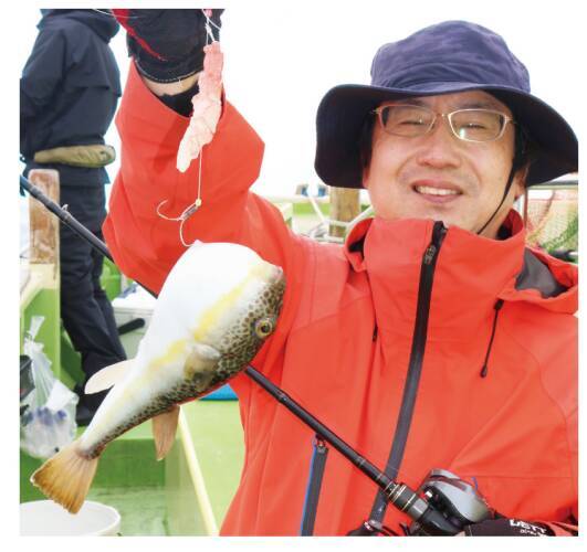 東京湾にショウサイあり初夏の湾フグ好期突入！