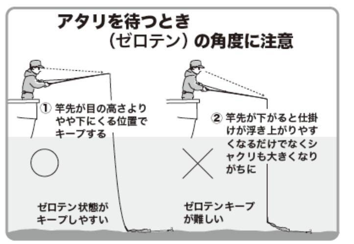 東京湾にショウサイあり初夏の湾フグ好期突入！