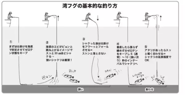 「東京湾にショウサイあり初夏の湾フグ好期突入！」の画像