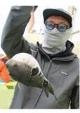 「東京湾にショウサイあり初夏の湾フグ好期突入！」の画像7