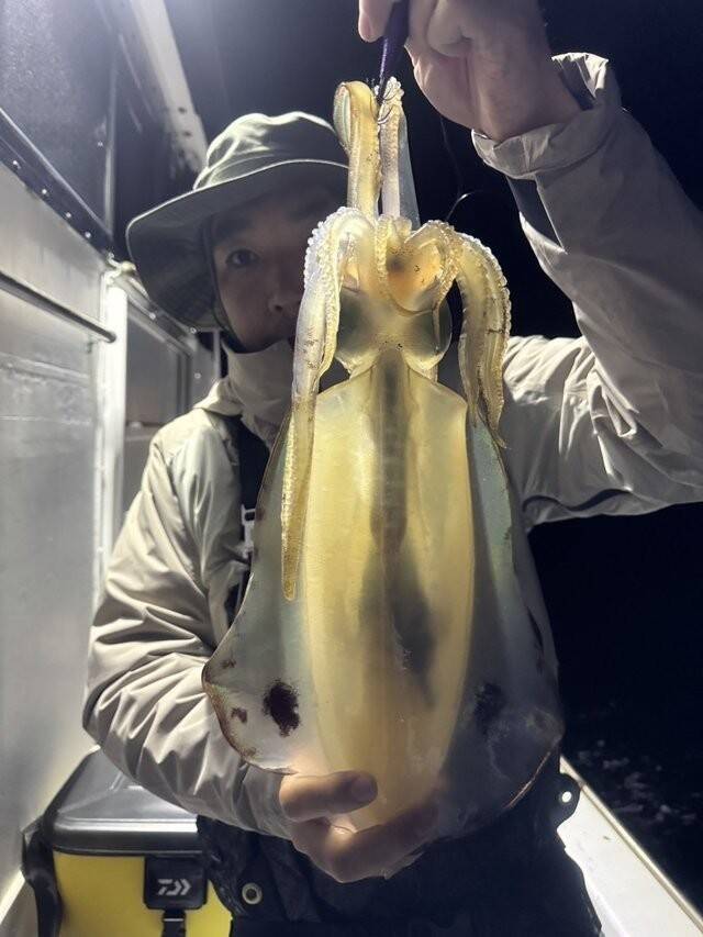 【釣果速報】千葉県赤沼丸で2026年初日から良型アオリイカゲット！今後の釣行も期待大！