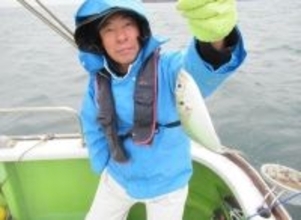 【釣果速報】神奈川県長崎屋のアジの釣果がバズってる！竿頭144匹！釣れすぎて笑いが止まらない釣行を体験してみませんか？