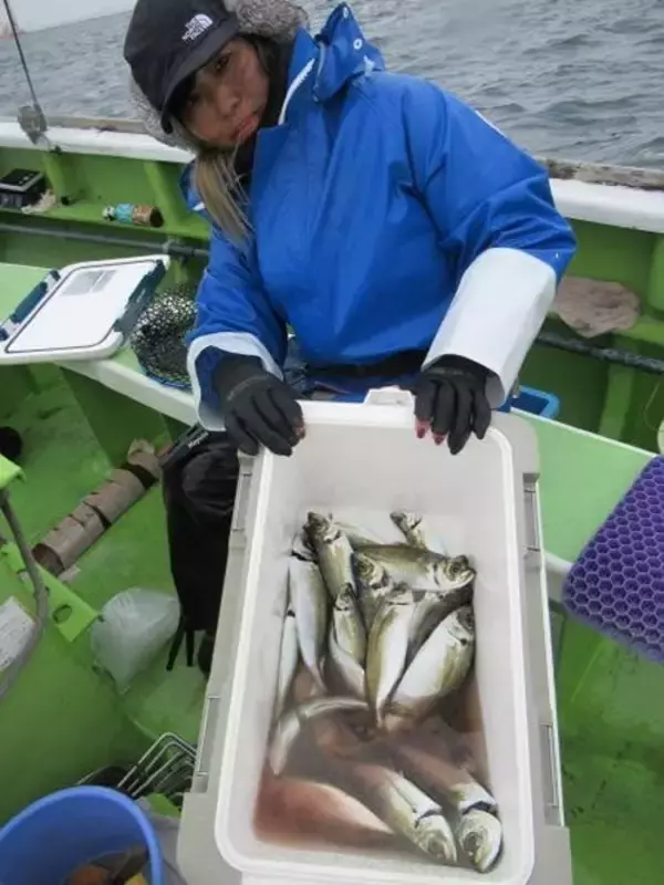 「【釣果速報】神奈川県長崎屋のアジの釣果がバズってる！竿頭144匹！釣れすぎて笑いが止まらない釣行を体験してみませんか？」の画像