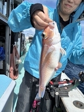 【釣果速報】福井県幸翔丸でアマダイ・ウッカリカサゴ・カナガシラと人気魚種続々ゲット！いろいろな魚との出会いを楽しみたい人は即予約を！