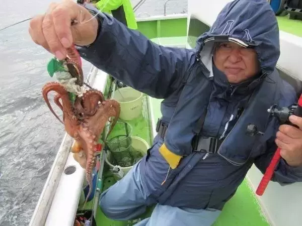 【釣果速報】神奈川県長崎屋で全員マダコGET達成！良型タコも！好調の今、ぜひ乗船予約を！