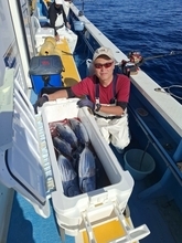 【釣果速報】神奈川県成銀丸で48.60kgの巨大キハダや食べ頃カツオなど人気釣果続々ゲット！連休に今年一番の思い出を作りに行こう！