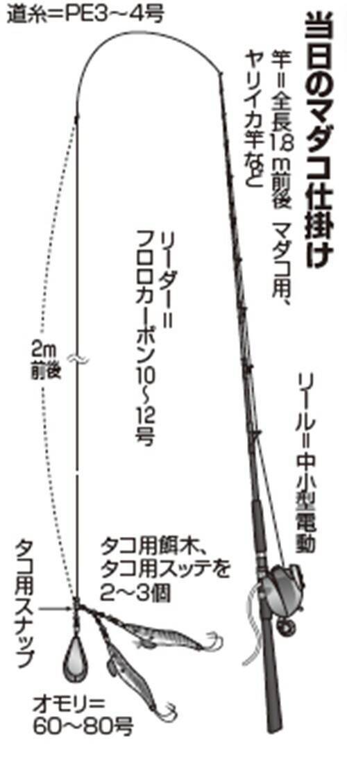 大型のチャンスを逃すな！正月用マダコを釣るなら今