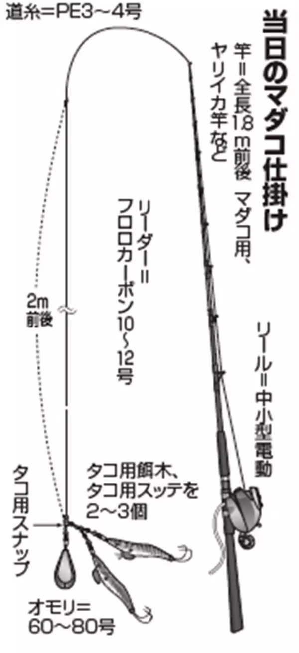 「大型のチャンスを逃すな！正月用マダコを釣るなら今」の画像