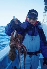 大型のチャンスを逃すな！正月用マダコを釣るなら今