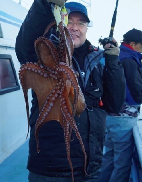 大型のチャンスを逃すな！正月用マダコを釣るなら今