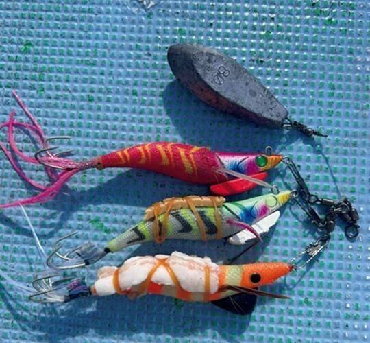 大型のチャンスを逃すな！正月用マダコを釣るなら今