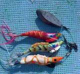 「大型のチャンスを逃すな！正月用マダコを釣るなら今」の画像9