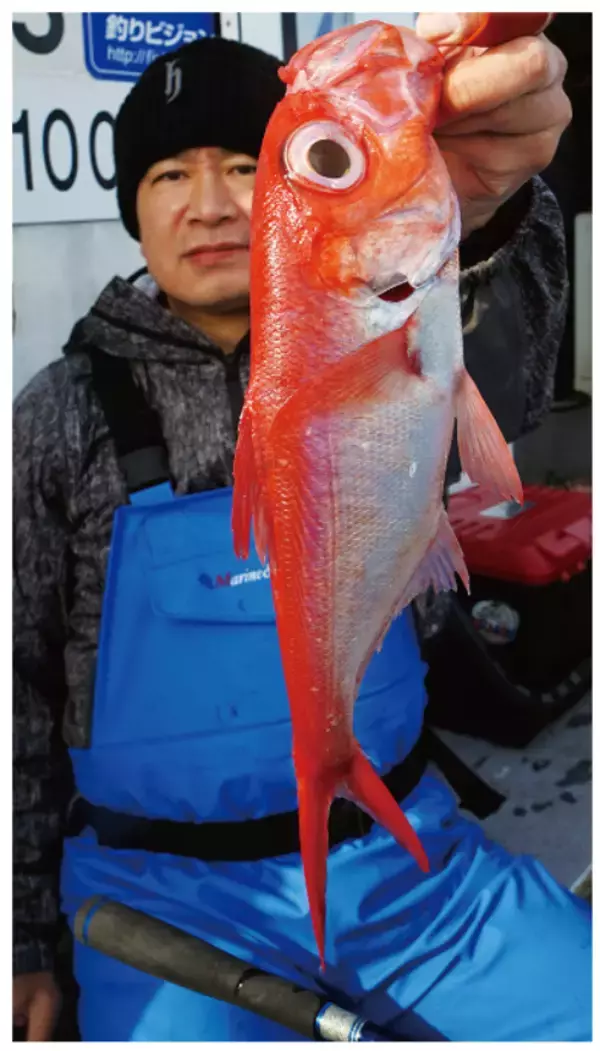 「手軽に楽しむキンメ釣り あわよくばリレーでヤリイカも」の画像