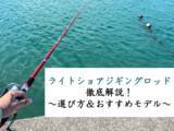 「厳選ライトショアジギングロッドまとめ！1分で分かるロッドの選び方解説つき！」の画像19
