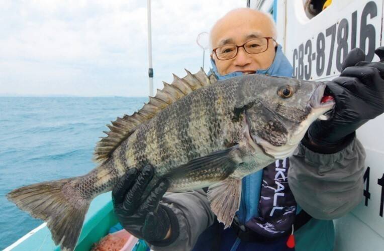 内房保田沖のLTタイ五目船でクロダイ激釣中！