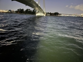 冬の夜を熱くする！【ヒイカ釣り】手軽に楽しむベイエリアのライトエギング