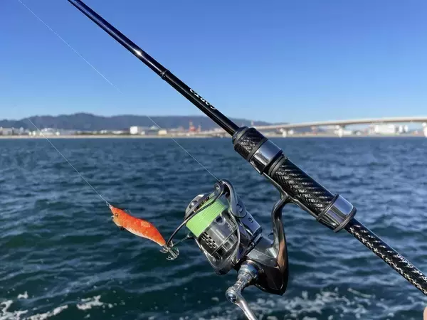 「冬の夜を熱くする！【ヒイカ釣り】手軽に楽しむベイエリアのライトエギング」の画像