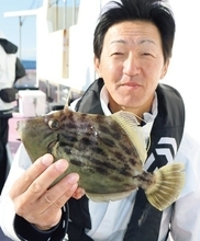 遅れ気味で本番はこれから！良型のカワハギを楽しもう