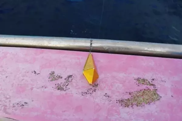 「遅れ気味で本番はこれから！良型のカワハギを楽しもう」の画像